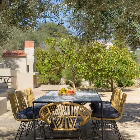 The Olive Grove With Swimming Pool And Breakfast 度假居