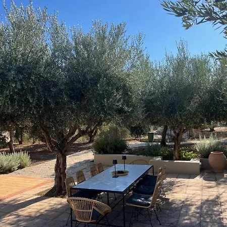 The Olive Grove With Swimming Pool And Breakfast 度假居 阿卡尼斯